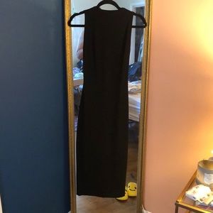 Aritzia Babaton Scuba Dress